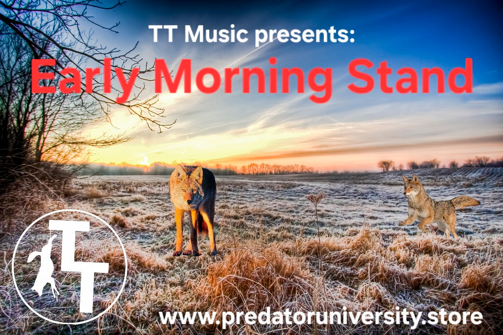 TT Music - Early Morning Stand