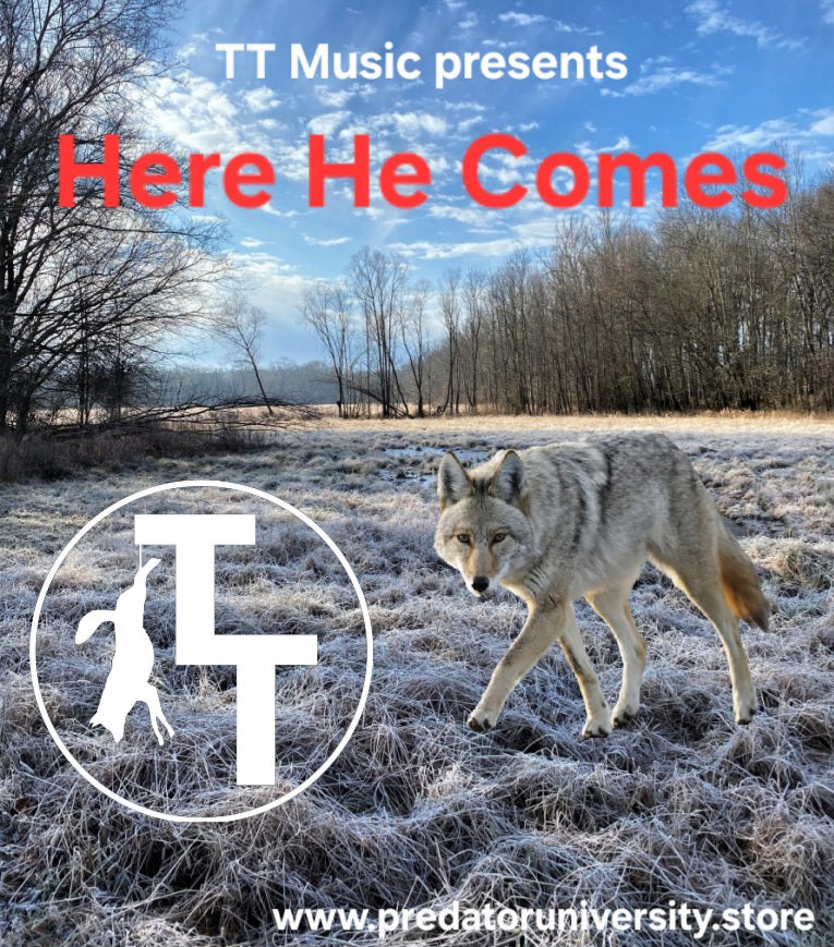 TT Music - Here He Comes