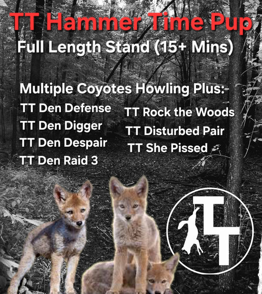 TT Hammer Time Pup