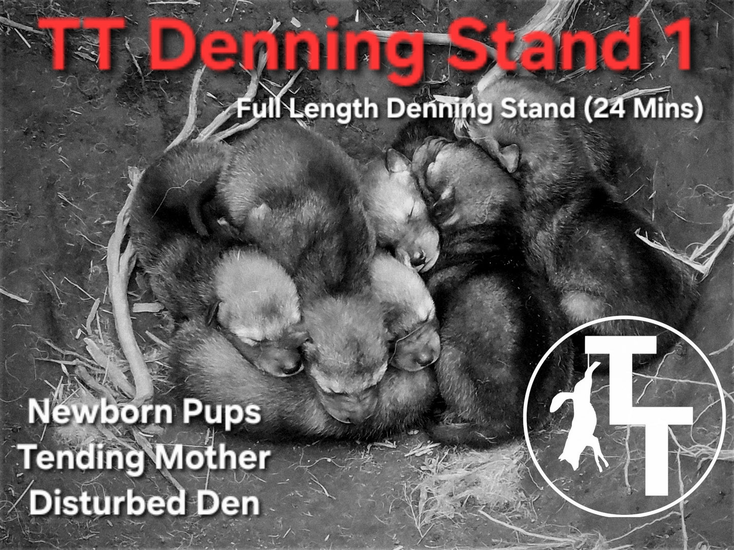 TT Denning Stand 1