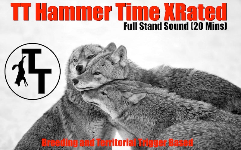 TT Hammer Time XRated