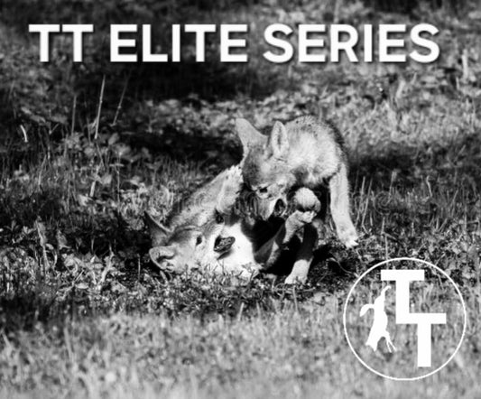 TT Vicious Pups