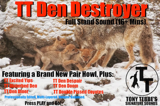 TT Den Destroyer