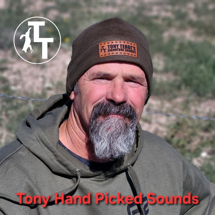 Have Tony Pick Sounds