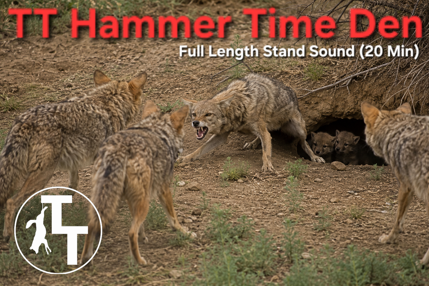 TT Hammer Time Den