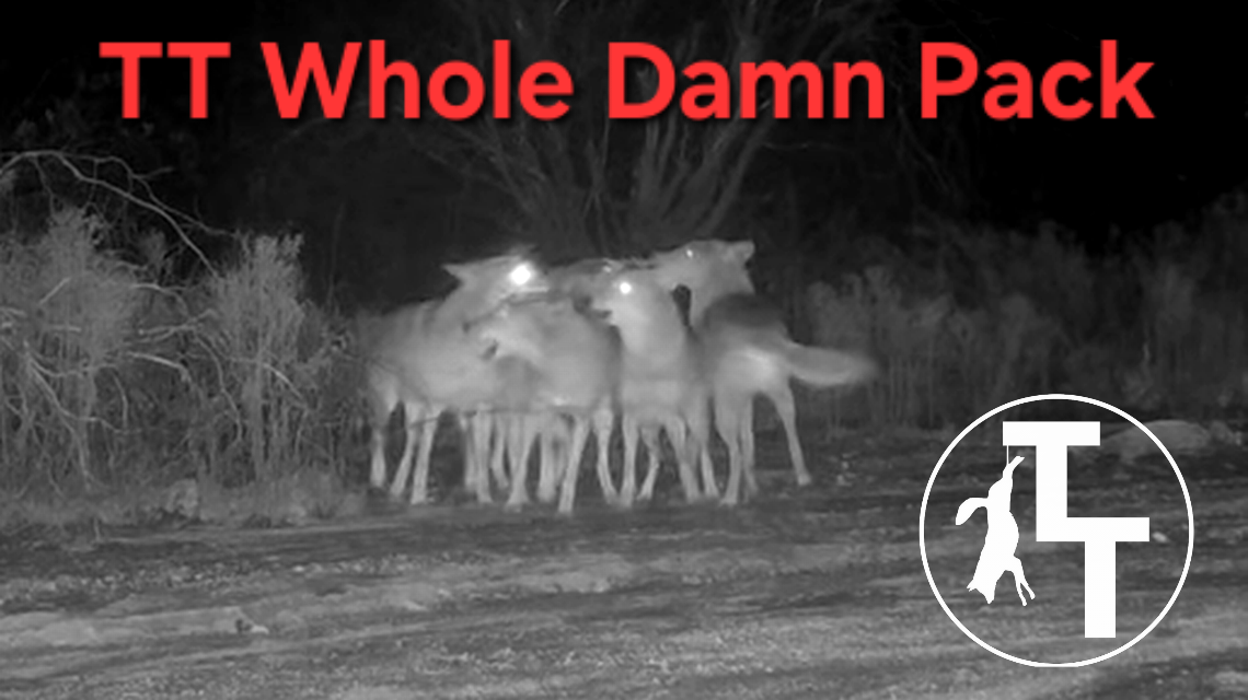 TT Whole Damn Pack