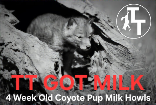 TT Got Milk