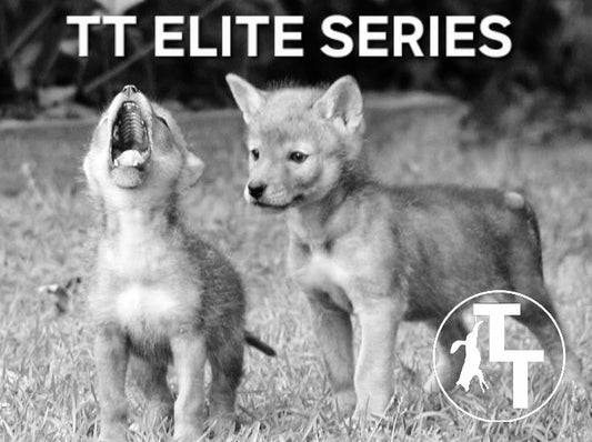 TT Koda n Niko 1st Howls