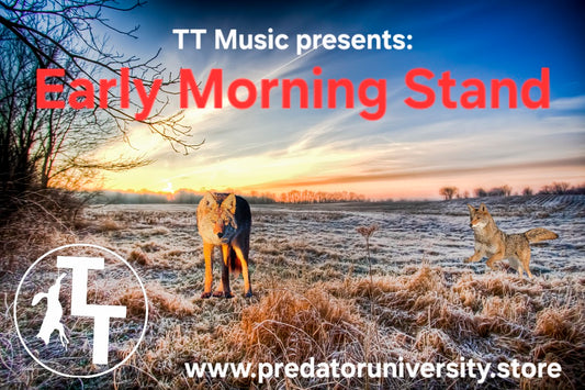 TT Music - Early Morning Stand