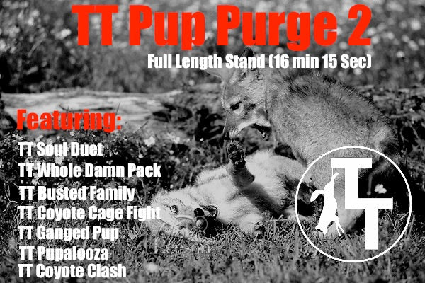 TT Pup Purge 2