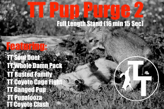 TT Pup Purge 2