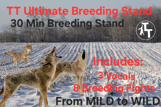 TT Ultimate Breeding Stand – Predator University
