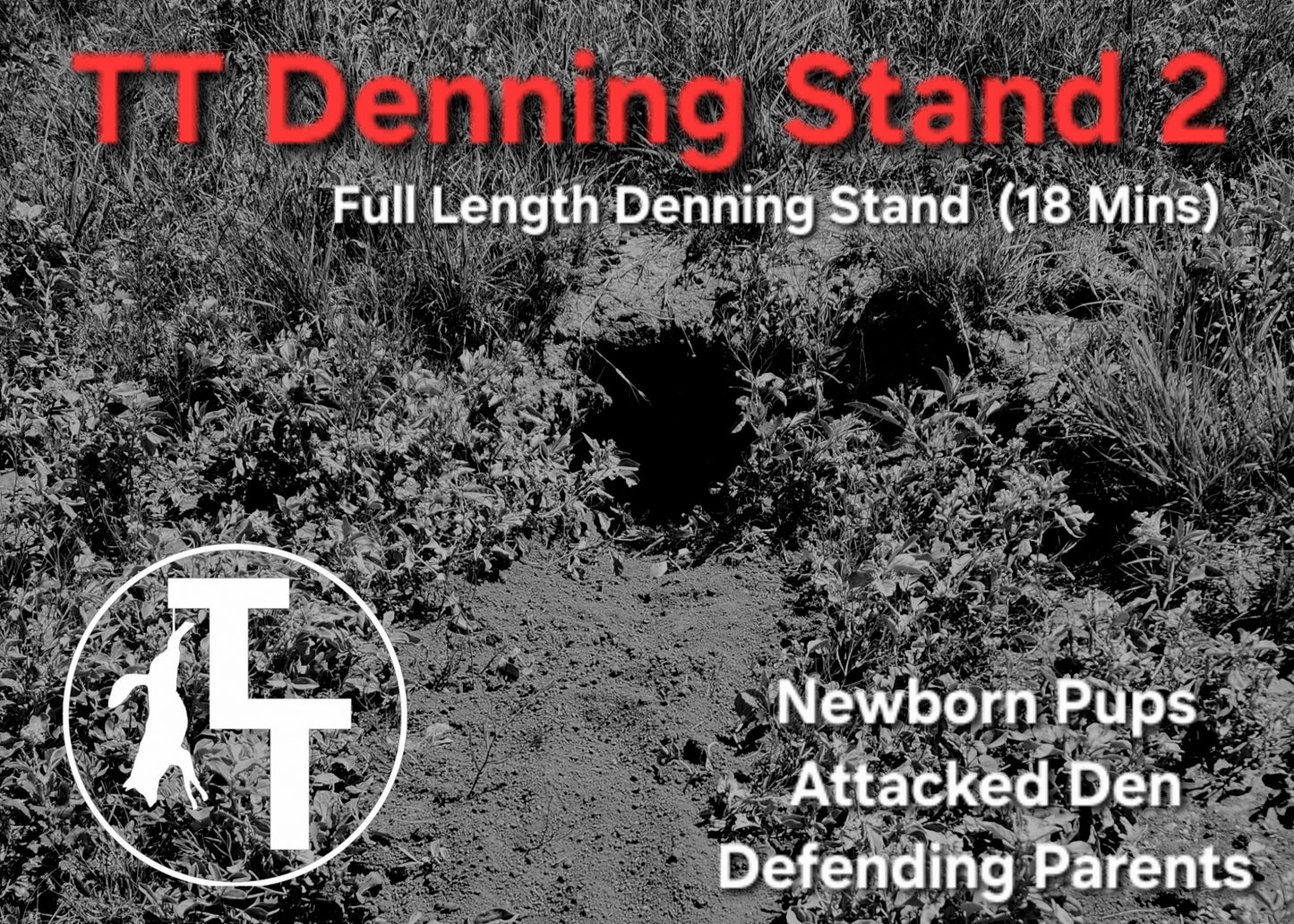 TT Denning Stand 2