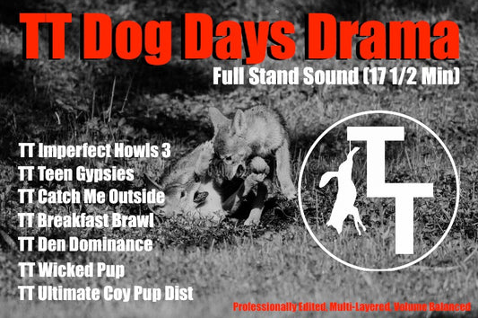TT Dog Days Drama