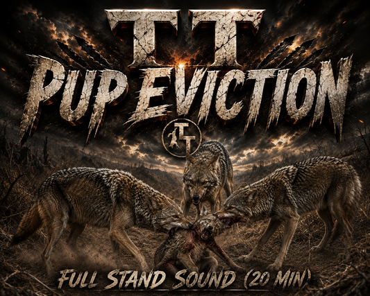TT Pup Eviction