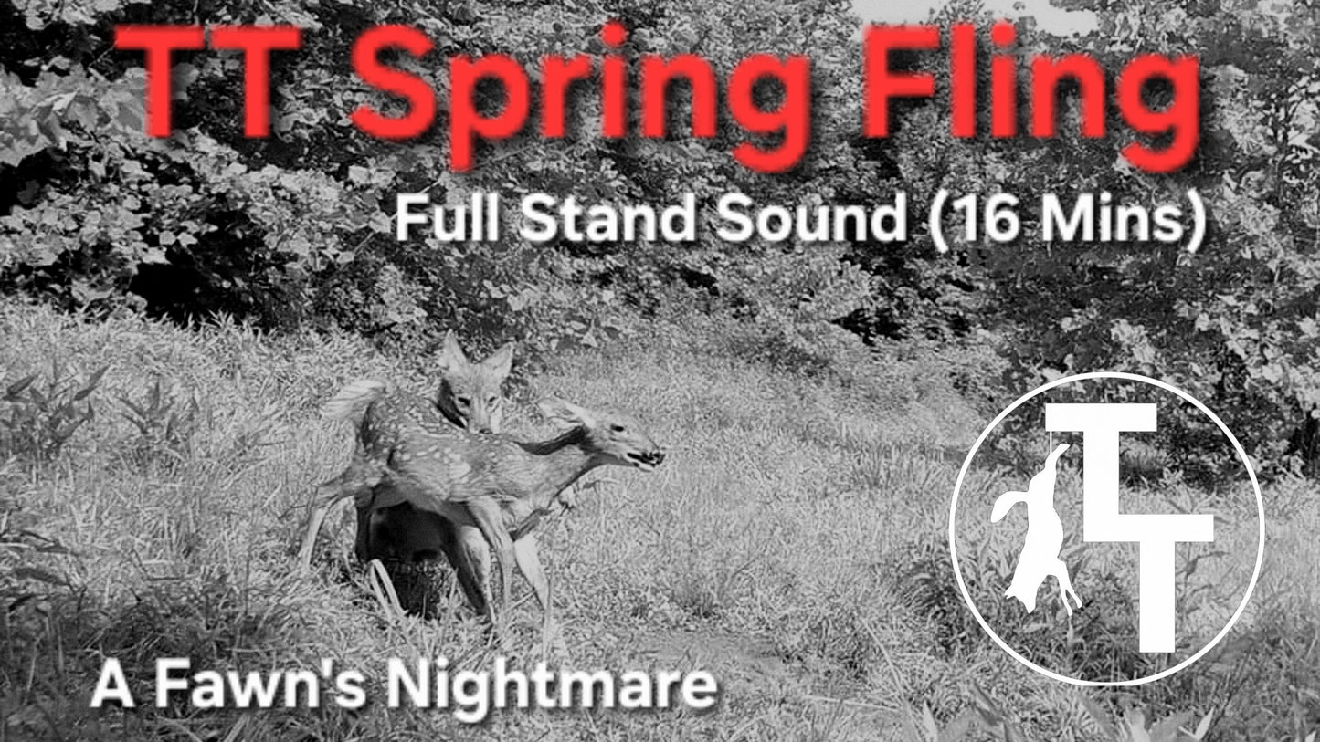 TT Spring Fling