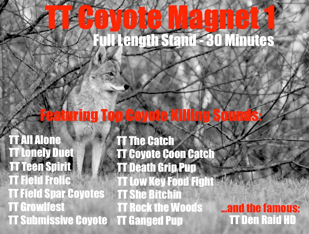 TT Coyote Magnet 1
