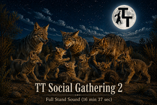 TT Social Gathering 2