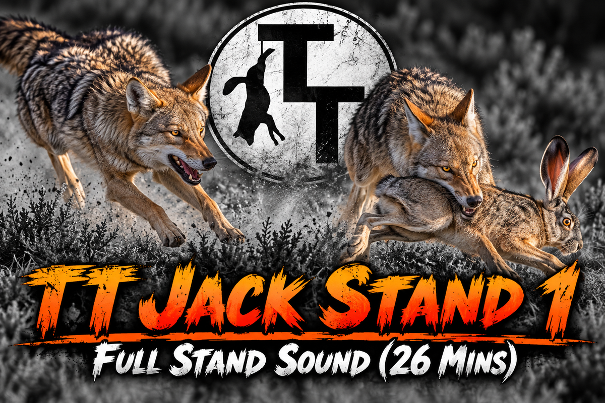 TT Jack Stand 1