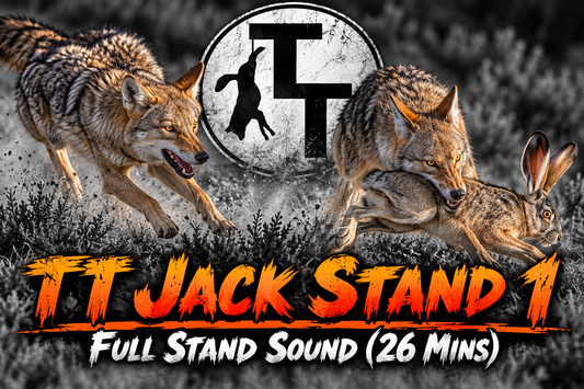 TT Jack Stand 1