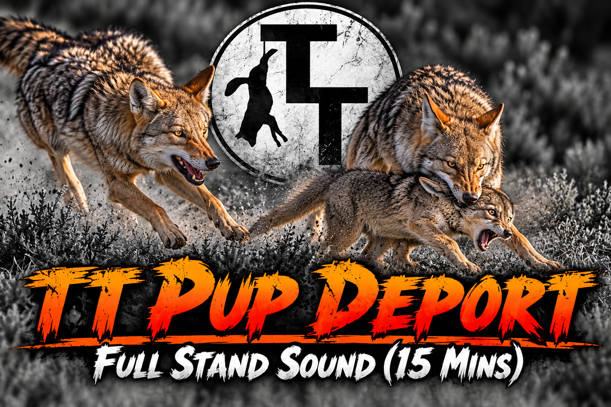 TT Pup Deport