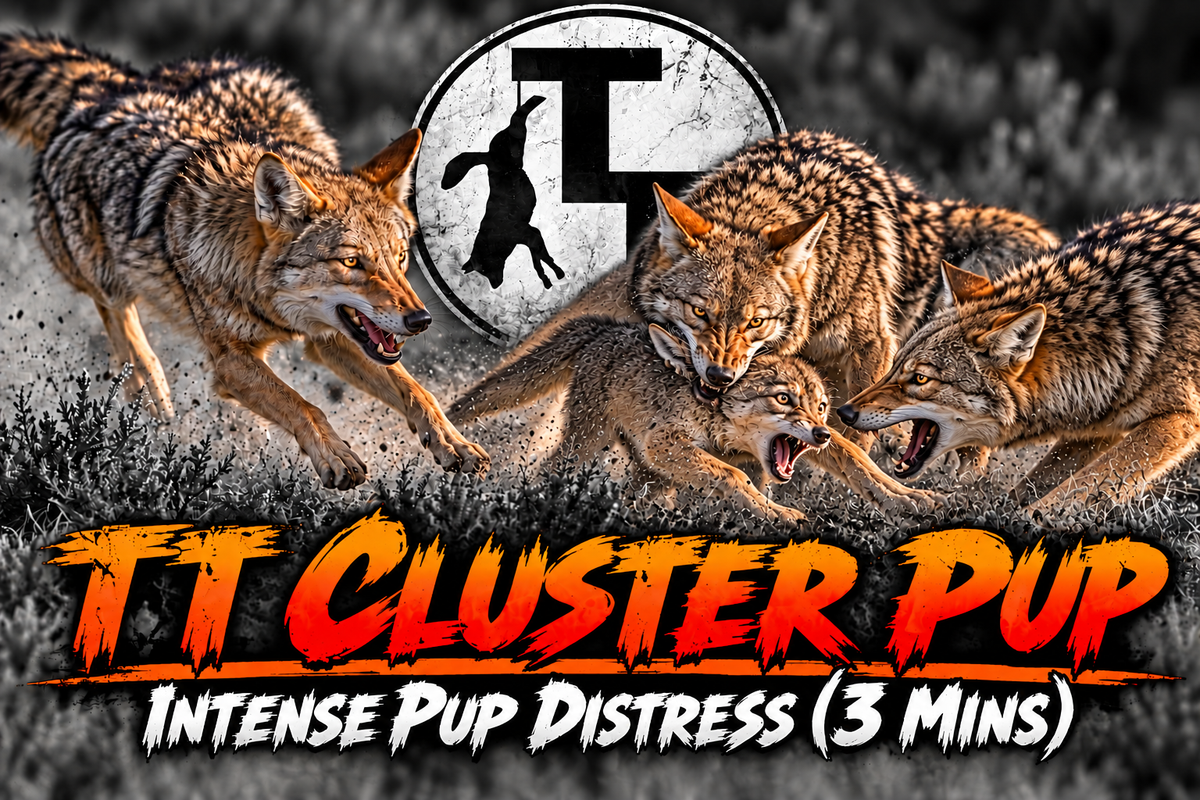 TT Cluster Pup
