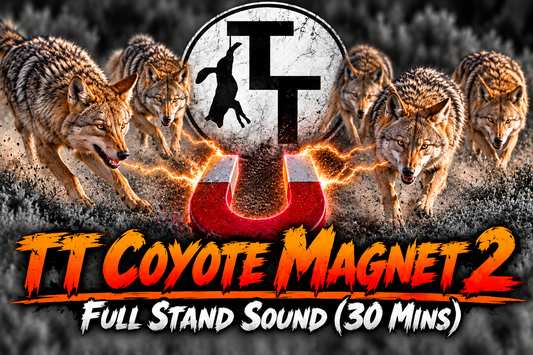 TT Coyote Magnet 2