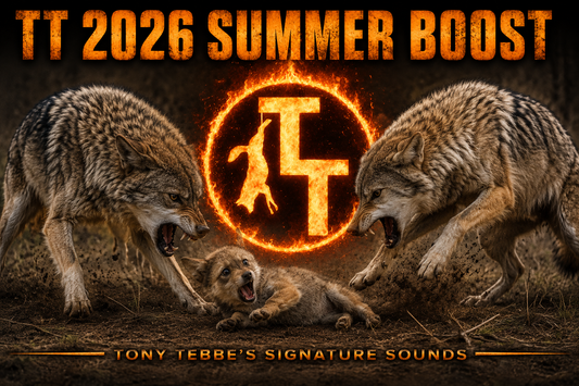 TT 2026 Summer Boost