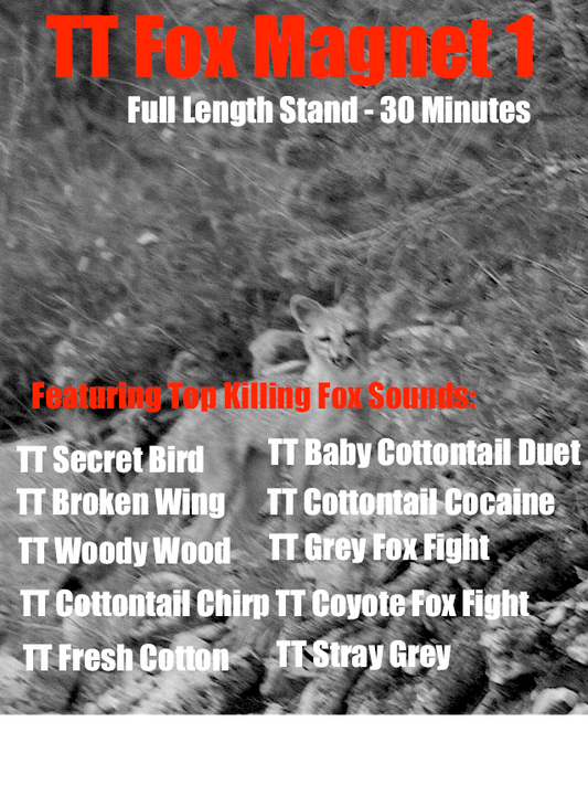 TT Fox Magnet 1