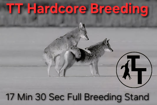 TT Hardcore Breeding
