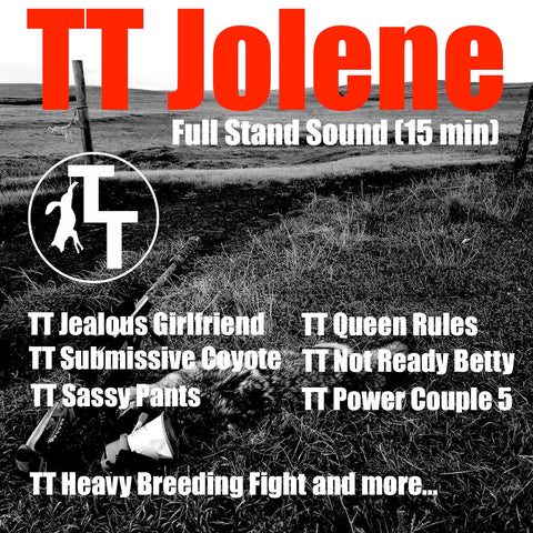 TT Jolene