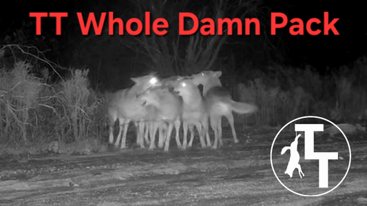 TT Whole Damn Pack