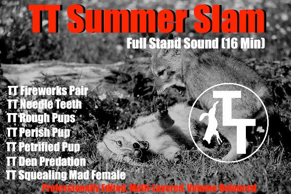 TT Summer Slam