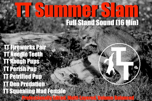 TT Summer Slam