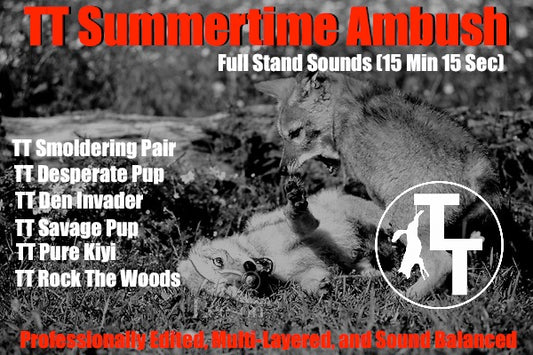 TT Summertime Ambush