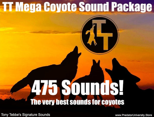 TT Mega Coyote Sound Package