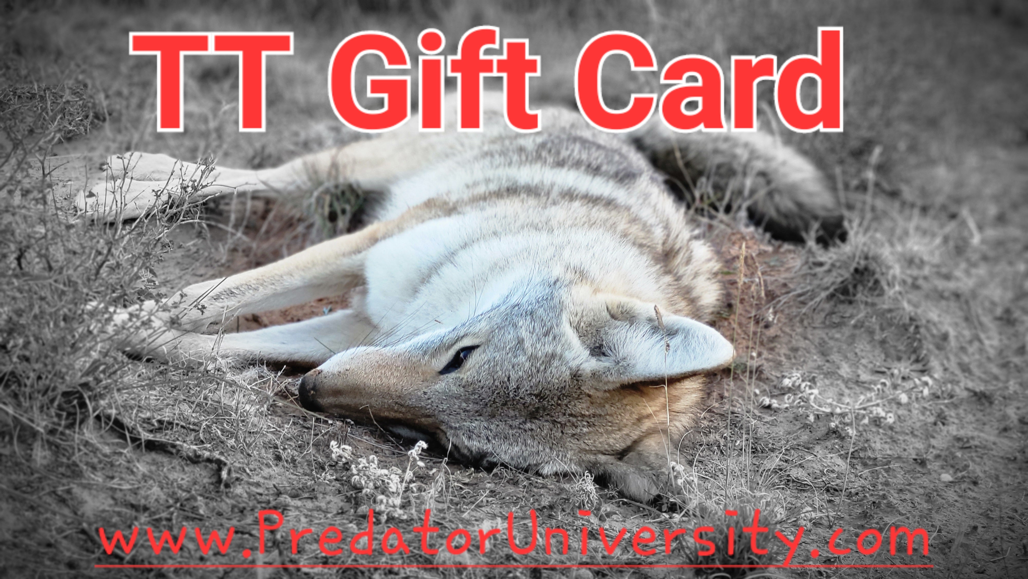 Predators Gift Predator University Gift Card