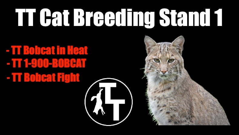 TT Cat Breeding Stand 1