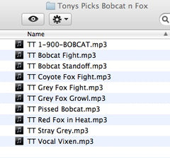 Tony's Top Picks - Vocals - Bobcat and Fox