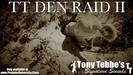 TT Den Raid II