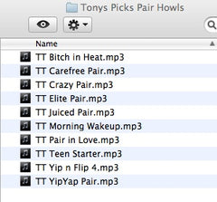 Tony's Top Picks - Vocals - Pair Howls