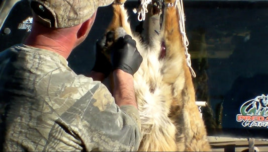 TT Field Skinning Demo