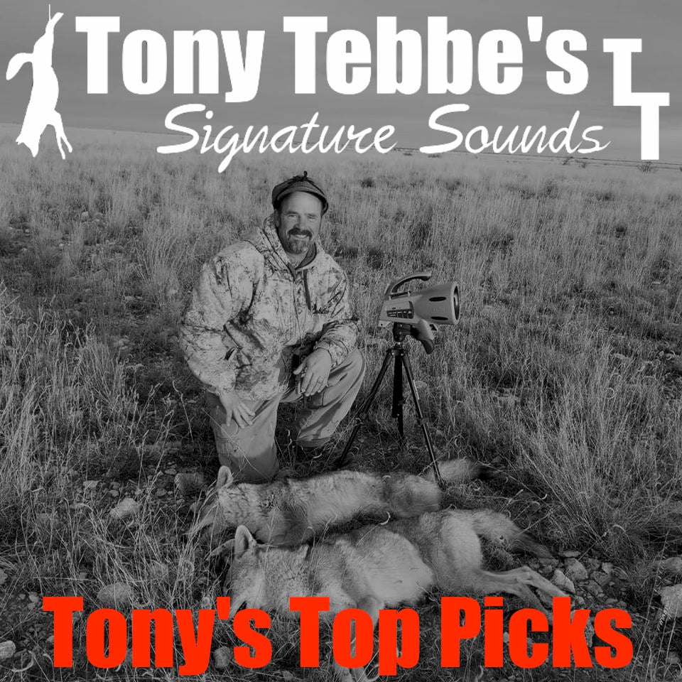 Tony's Top Picks - Vocals - Coyote Fights