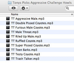 Tony's Top Picks - Vocals - Challenge Howls