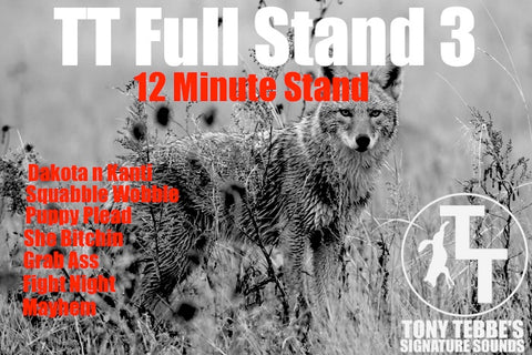 TT Full Stand 3